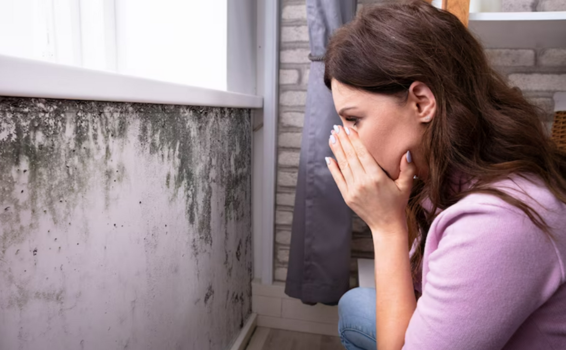 How does Household Mould Impact your Health?